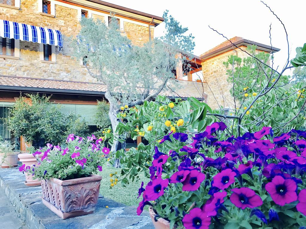 Casa Vacanze Il Cenito Castellabate Exteriér fotografie