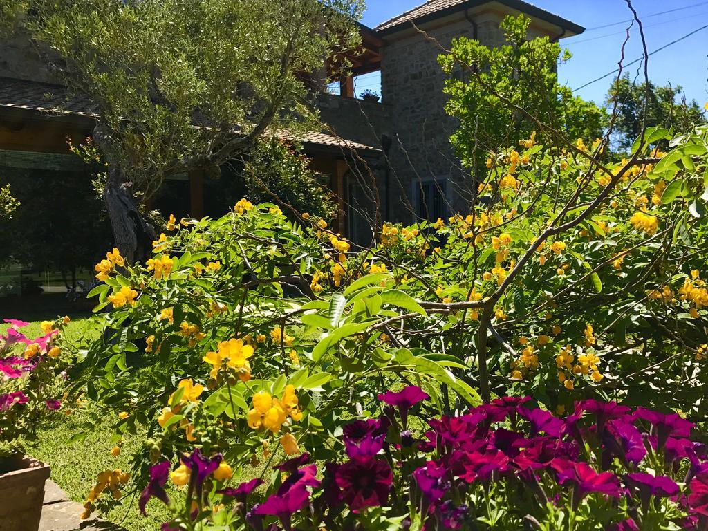 Casa Vacanze Il Cenito Castellabate Exteriér fotografie